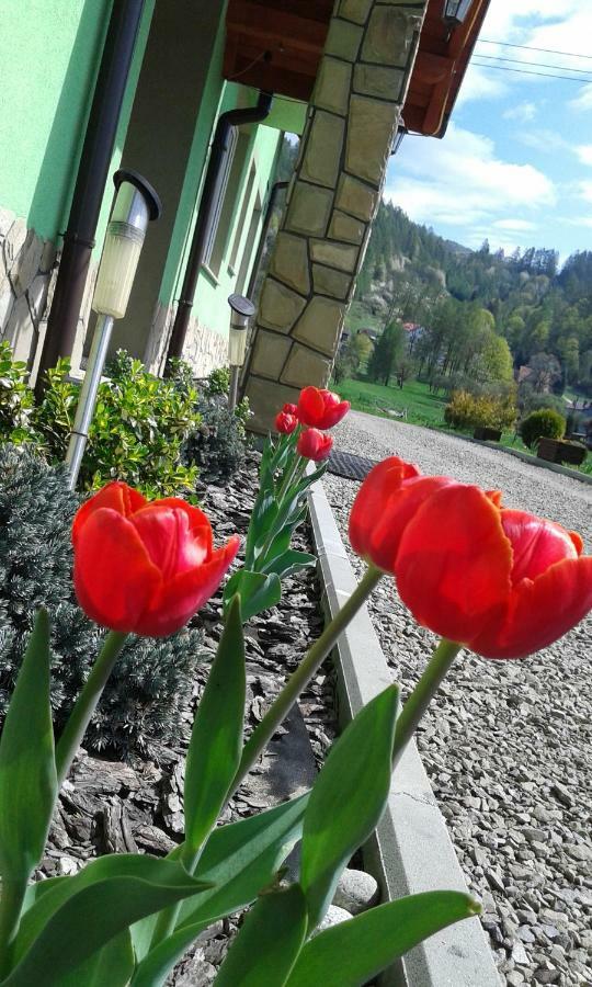 Zielone Zacisze Hotel Kroscienko nad Dunajcem Luaran gambar